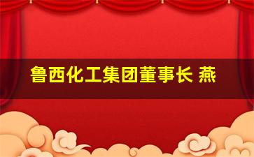 鲁西化工集团董事长 燕